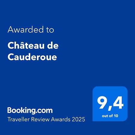 Chateau De Cauderoue Nerac Exterior photo