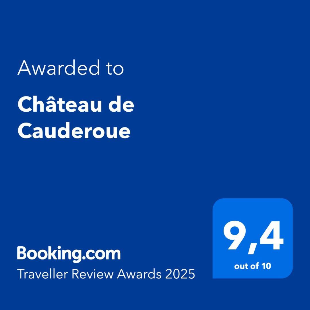 Chateau De Cauderoue Nerac Exterior photo